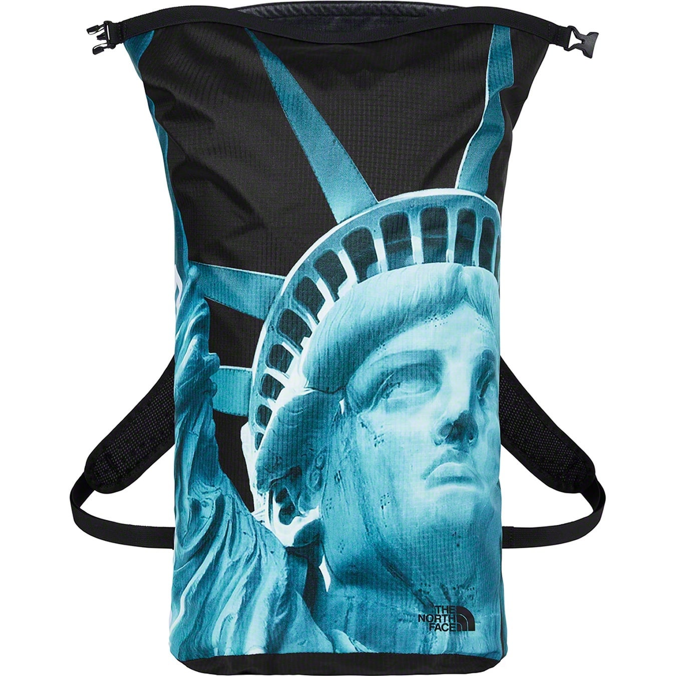 Supreme®/The North Face® Statue of Liberty Waterproof Backpack view 3